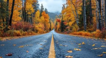 Изображение: Проект 